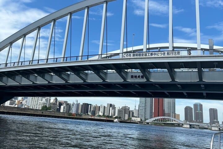 Tokyo Private One-Day Tour — Local Driver — photo 16