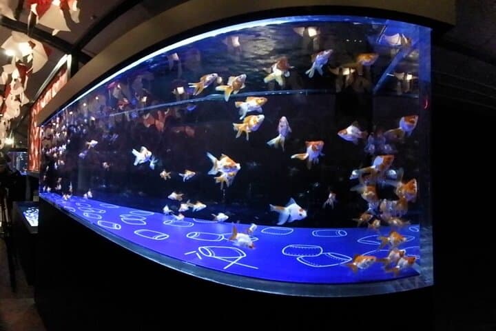 Tokyo Sumida Aquarium E-Ticket with Optional Tokyo Metro Pass — photo 9
