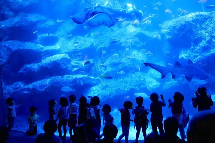 Tokyo Sumida Aquarium E-Ticket with Optional Tokyo Metro Pass — photo 10