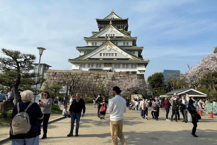 Osaka: Osaka Castle Tower Private Guided Tour in 90 Minutes — photo 8