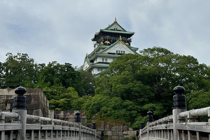 Guided Tour of Osaka Castle and Osaka Historical Museum — photo 20