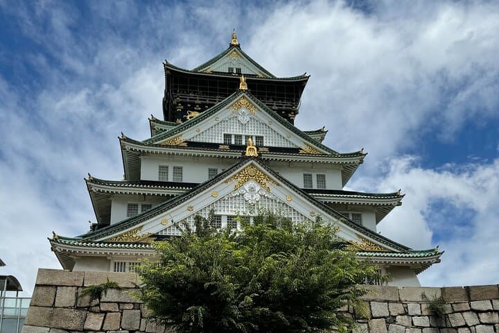 Osaka: Osaka Castle Tower Private Guided Tour in 90 Minutes — photo 2
