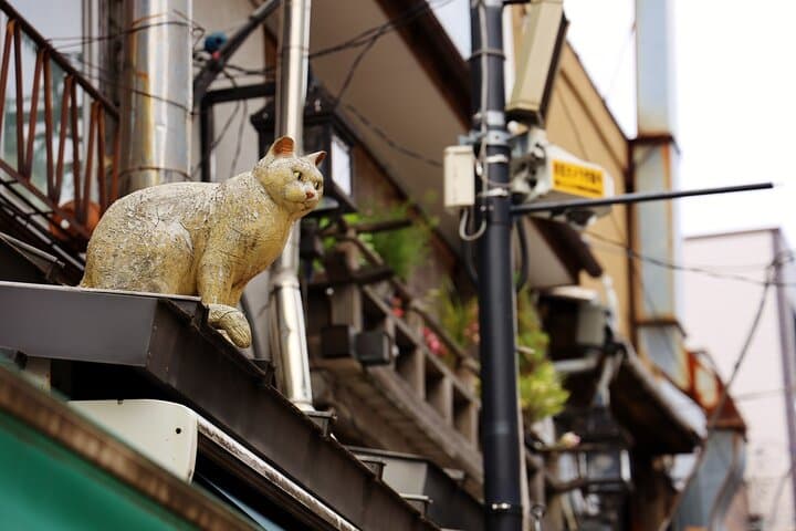 Tokyo: Yanaka & Nezu Old Town Heritage Walk — photo 14