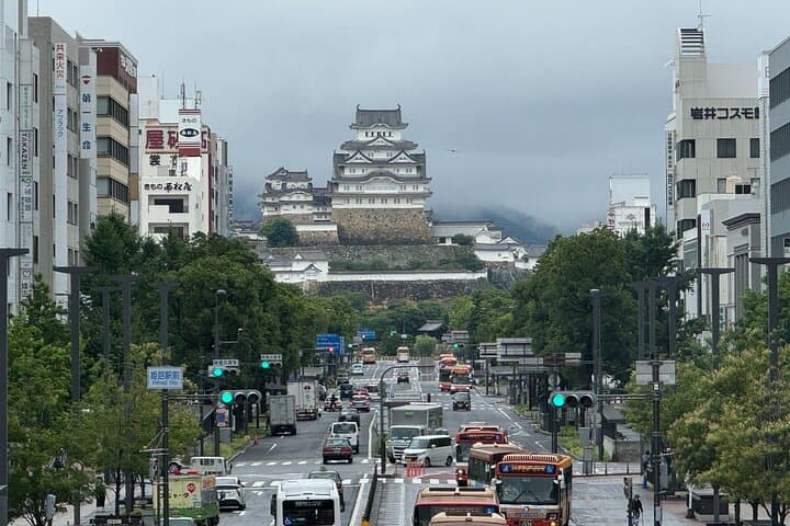 Himeji: Private Guided Tour of Himeji Castle and Engyoji Temple — photo 8