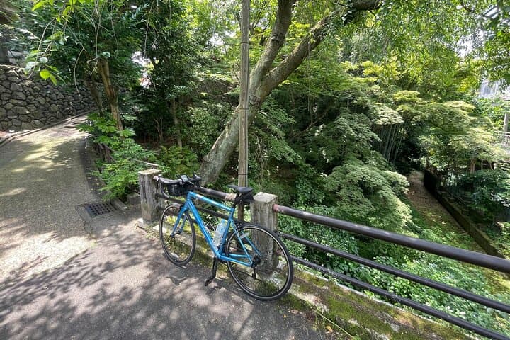 Scenic Riverside Ride in East Kyoto — photo 5