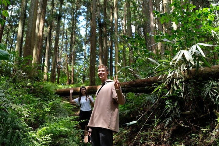 Forest Bathing in Temple and Enjoy onsen with healing power — photo 14