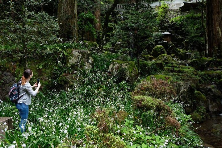 Forest Bathing in Temple and Enjoy onsen with healing power — photo 18