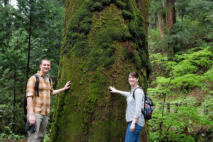 Forest Bathing in Temple and Enjoy onsen with healing power — photo 19