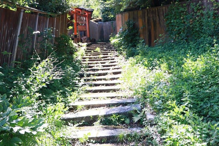 ALL INCLUDED:Short Exclusive Hidden Kyoto Private Tour with Local — photo 5