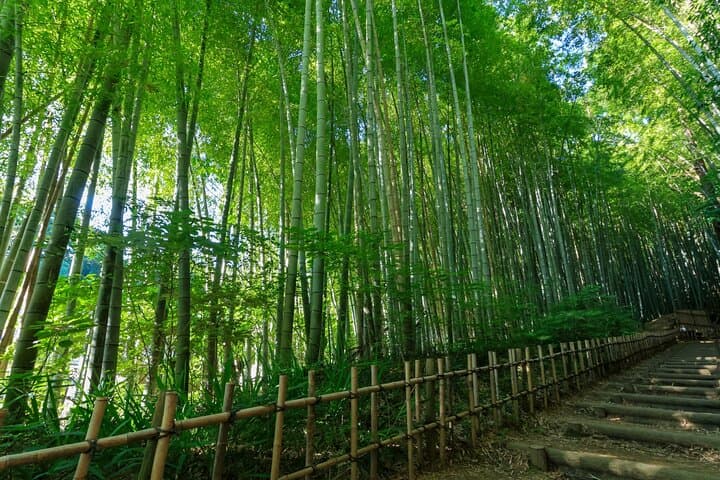 Narita Shinshoji Temple and Sakura Samurai Residences by car — photo 8