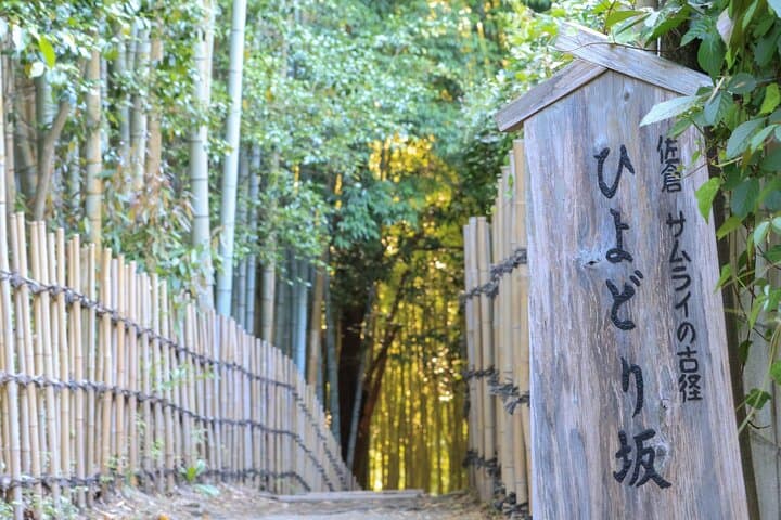 Narita Shinshoji Temple and Sakura Samurai Residences by car — photo 11