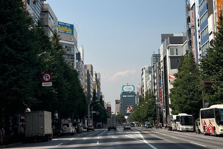 5-Hour Tokyo Private Layover Tour from Haneda Airport — photo 11