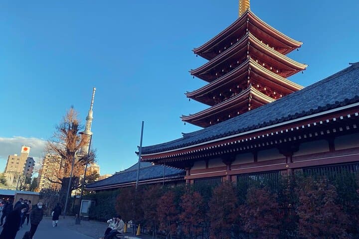 5-Hour Tokyo Private Layover Tour from Haneda Airport — photo 13