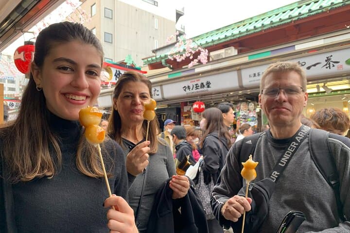 Tokyo 5hr Private Guided Tour and Batto (Sword) Experience — photo 11