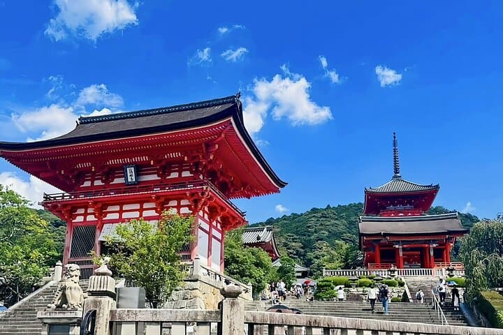 Kyoto&Nara&Osaka: One day private Customized Car tour — photo 5