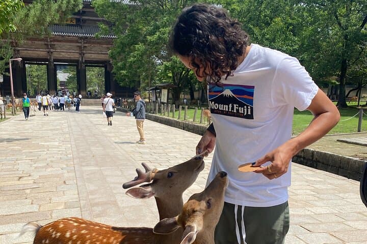 Nara Tour Experience Temples Park — photo 6