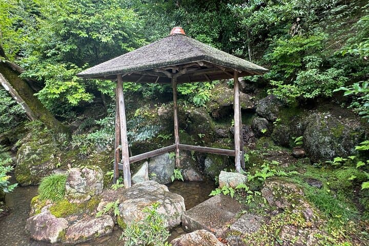 Kyoto: Kinkakuji, Golden Pavilion Private Tour in 90 Minutes — photo 19