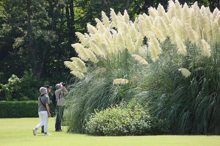 THE TOKYO PASS: Museums, Gardens & Cultural Attractions in Tokyo — photo 17