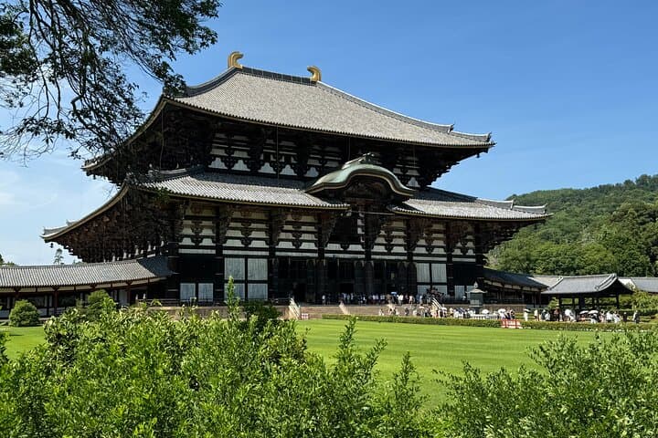 Nara: Todai-ji Temple & Great Buddha 2-Hour Guided Tour — photo 7