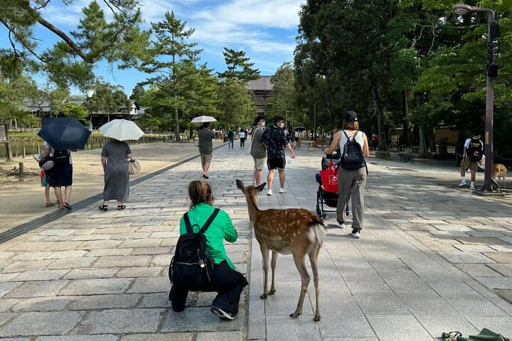Nara: Half-Day Private Tour of 4 Must-See Spots & Deer Park — photo 14
