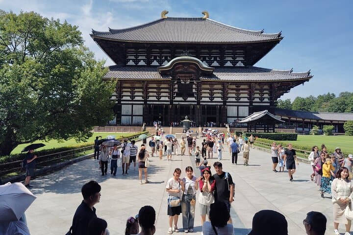 Nara: Todai-ji Temple & Great Buddha 2-Hour Guided Tour — photo 11