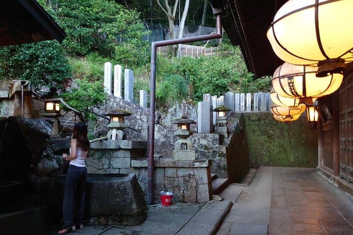 Nara Tour Experience Temples Park — photo 9