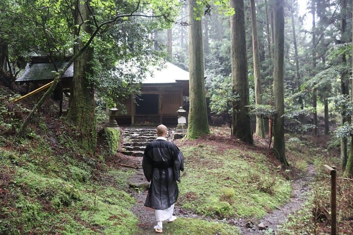Kyoto: Enryakuji Highlights – 2-Hour Sacred Express Tour — photo 3