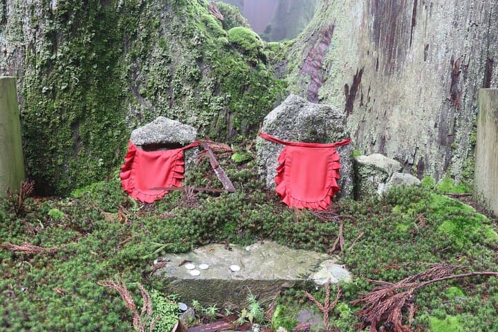 Kyoto: Enryakuji Highlights – 2-Hour Sacred Express Tour — photo 7