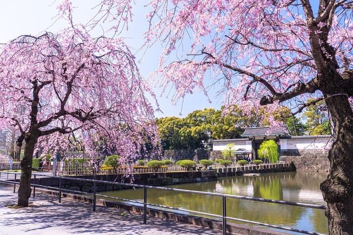 Tokyo, Edo Castle & East Garden of the Imperial Palace Tour — photo 5