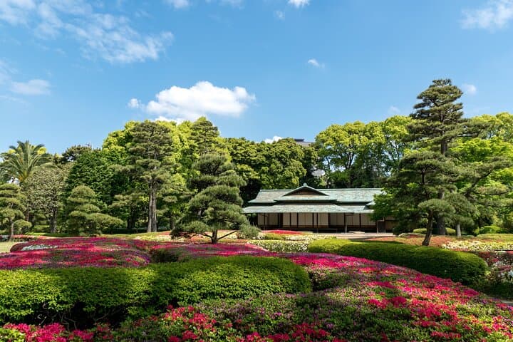 Tokyo, Edo Castle & East Garden of the Imperial Palace Tour — photo 12