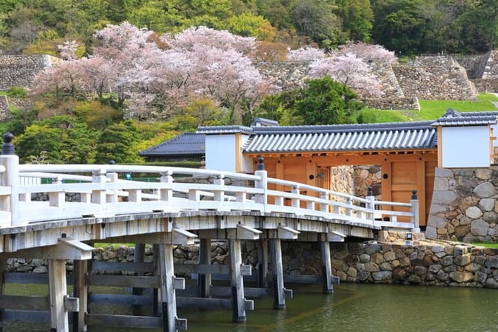 Tokyo Private Tour: Imperial Palace East Gardens&Edo Castle Ruins — photo 6