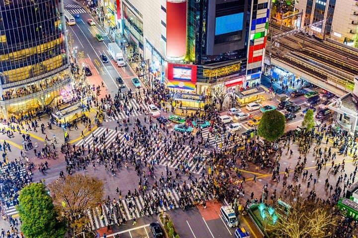 Private Full Day Guided Tour in Tokyo — photo 9