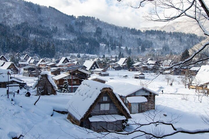 Day Tour from Nagoya in Gujo Hachiman Takayama and Shirakawago — photo 7