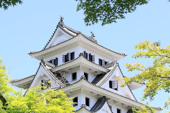Day Tour from Nagoya in Gujo Hachiman Takayama and Shirakawago — photo 8