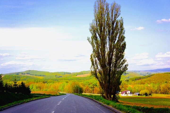 Sapporo to Blue Pond & Shirahige Falls Furano Private Tour — photo 2