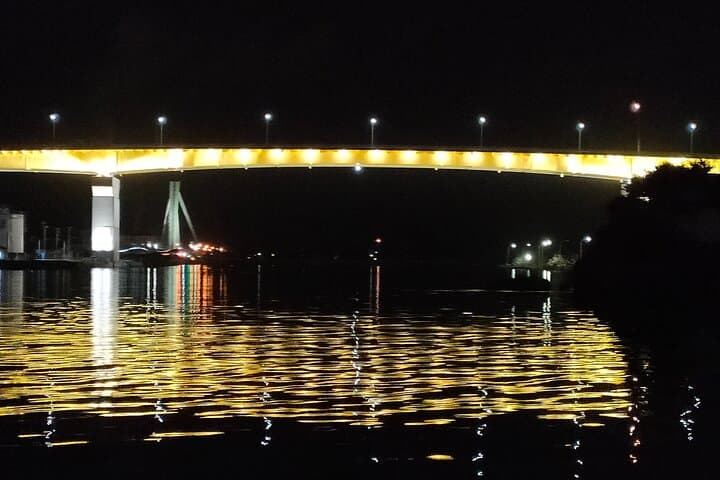 Public Hachinohe Yakata Boat Inner Harbor Tour — photo 9