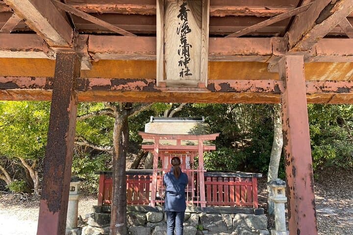 3 Hour Nanaura Tour around Miyajima with Lunch Box — photo 5