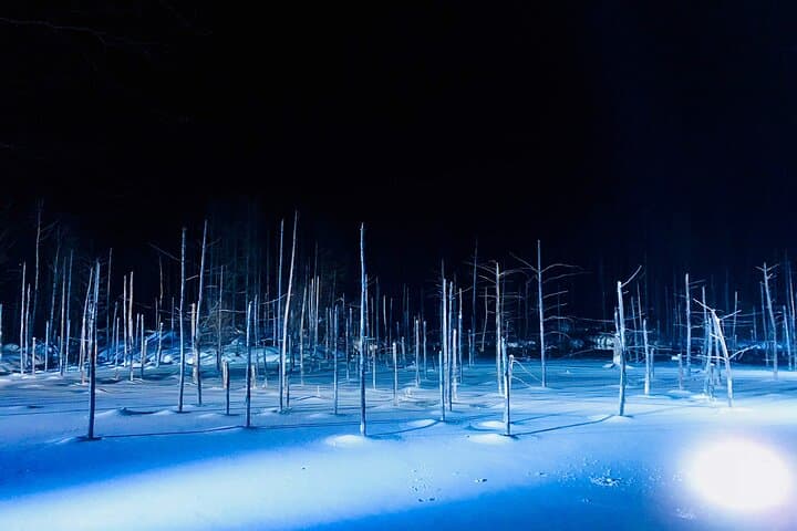 Sapporo to Blue Pond & Shirahige Falls Furano Private Tour — photo 4