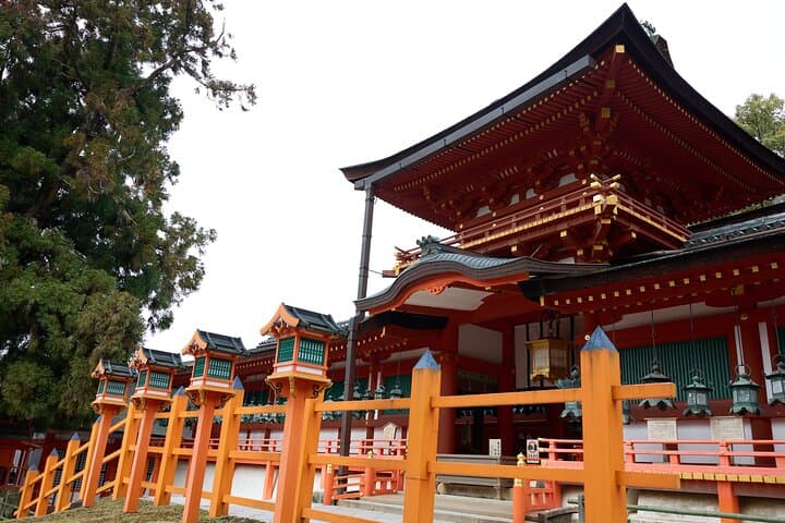 Private 3-Hour UNESCO Heritage Sites & Deer Park Tour — photo 12