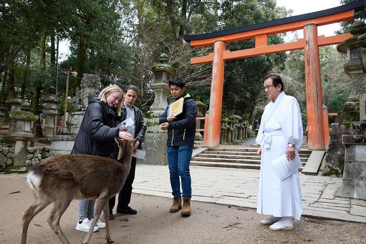 Private 3-Hour UNESCO Heritage Sites & Deer Park Tour — photo 13