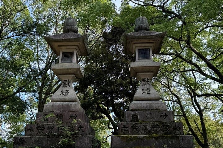 Private 3-Hour UNESCO Heritage Sites & Deer Park Tour — photo 19