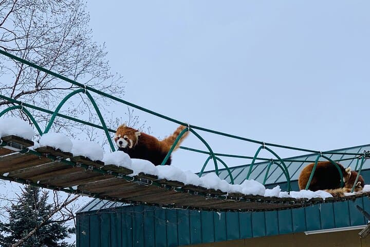 Sapporo to Blue Pond & Shirahige Falls Furano Private Tour — photo 11