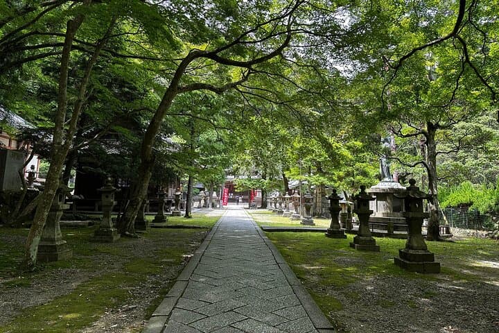 Osaka: Minoo Waterfall Private Guided Tour - 2.5-Hour Scenic Hike — photo 14