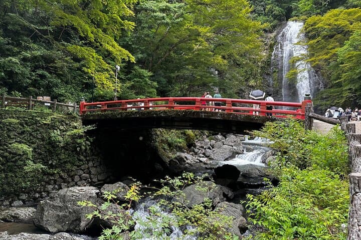 Osaka: Minoo Waterfall Private Guided Tour - 2.5-Hour Scenic Hike — photo 15