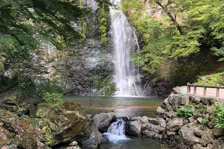 Osaka: Minoo Waterfall Private Guided Tour - 2.5-Hour Scenic Hike — photo 18