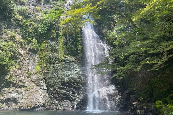 Osaka: Minoo Waterfall Private Guided Tour - 2.5-Hour Scenic Hike — photo 20