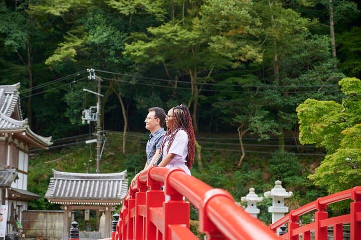 Osaka: Minoo Waterfall Private Guided Tour - 2.5-Hour Scenic Hike — photo 4