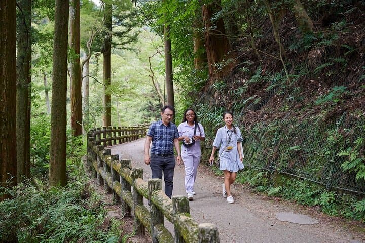 Osaka: Minoo Waterfall Private Guided Tour - 2.5-Hour Scenic Hike — photo 6