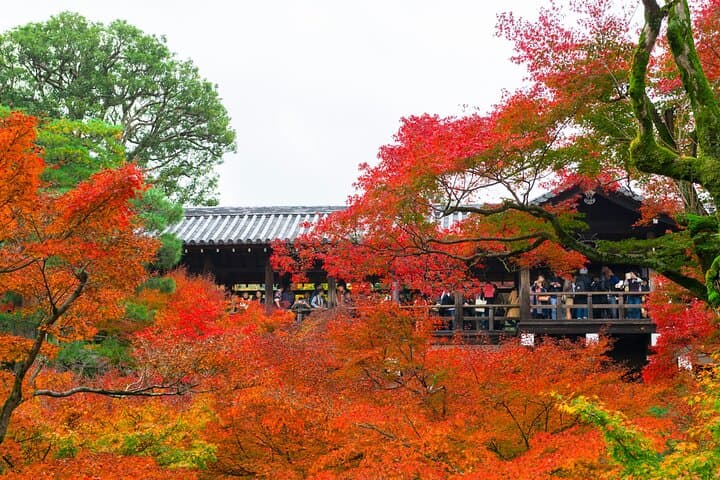 Exploring Autumn Foliage: Tofukuji, Fushimi Inari, and Uji Tour — photo 1
