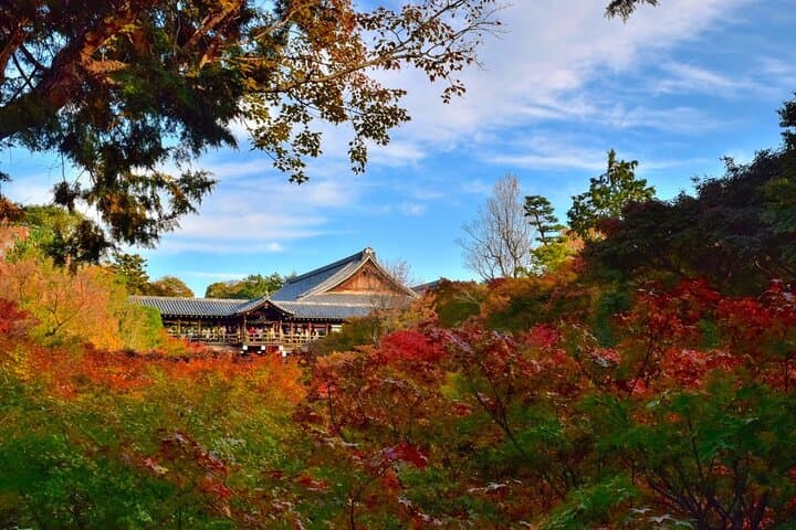 Exploring Autumn Foliage: Tofukuji, Fushimi Inari, and Uji Tour — photo 6